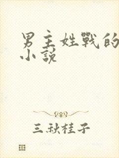 男主姓战的总裁小说