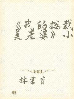 《我的总裁白富美老婆》小说