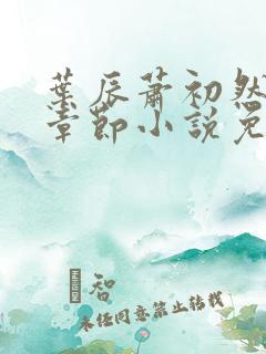 叶辰萧初然最新章节小说免费阅读