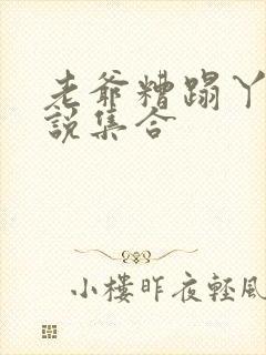 老爷糟蹋丫鬟小说集合