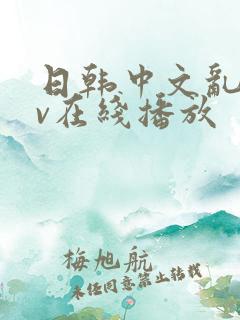 日韩中文乱码av在线播放