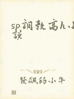 sp调教高h小说