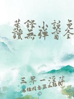 叶锋小说免费阅读无弹窗全文