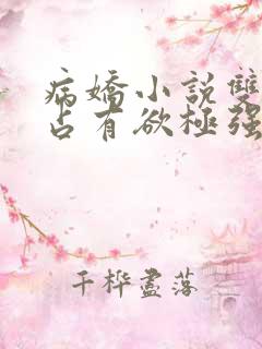 病娇小说双男主占有欲极强