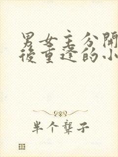 男女主分开多年后重逢的小说