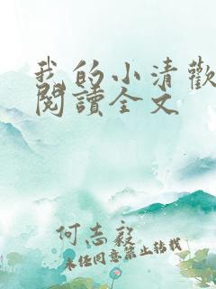 我的小清欢在线阅读全文