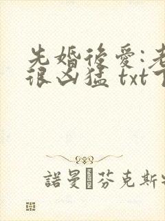 先婚后爱:老公很凶猛 txt下载