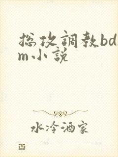 总攻调教bdsm小说