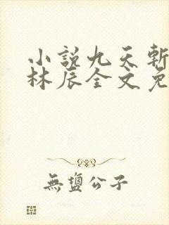 小说九天斩神诀林辰全文免费阅读