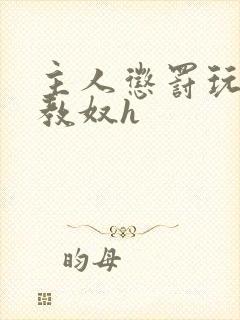 主人惩罚玩弄调教奴h