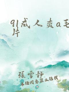 91成人爽a毛片