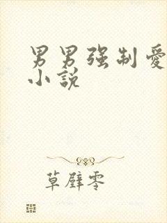 男男强制爱囚禁小说