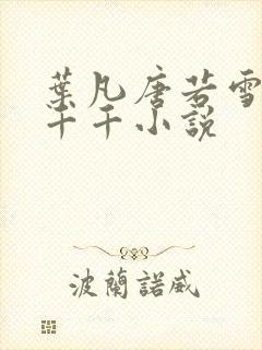 叶凡唐若雪医婿千千小说