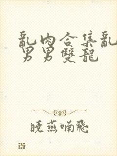 乱肉合集乱高h男男双龙