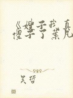 《嫂子我真不是傻子了叶凡》