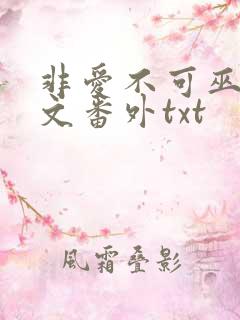 非爱不可巫哲全文番外txt