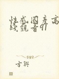 性感国产高清在线观看91