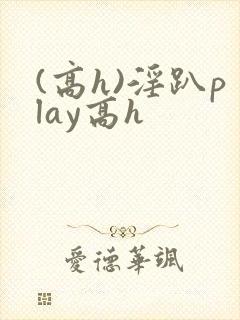 (高h)淫趴play高h