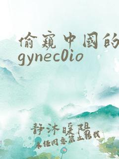偷窥中国的女人gynec0io