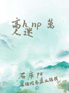 高h np 万人迷