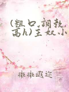 (粗口,调教,高h)主奴小说