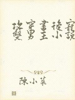 攻穿书后宠受的双男主小说推荐