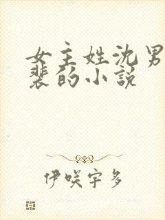 女主姓沈男主姓裴的小说