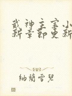 武神主宰小说最新章节更新