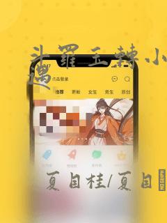 斗罗玉转小舞奇遇：结局+番外