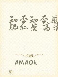 知否知否应是绿肥红瘦 高清下载