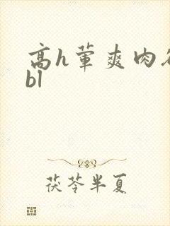 高h荤爽肉欲文bl