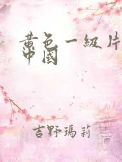 黄色一级片特黄中国