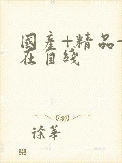 国产+精品+自在自线