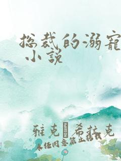 总裁的溺宠甜妻 小说