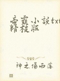 帝霸小说txt精校版