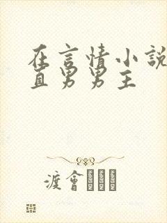 在言情小说里撩直男男主