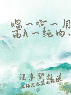 嗯～啊～用力～高h～纯肉小说