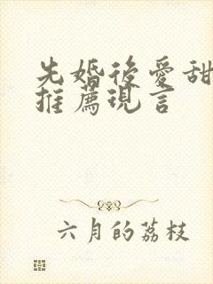 先婚后爱甜宠文推荐现言