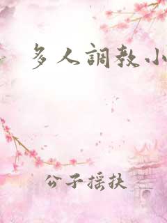 多人调教小说