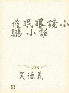 催眠眼镜小说王鹏 小说