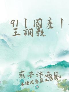 91丨国产丨女王调教