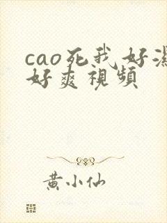 cao死我好湿好爽视频
