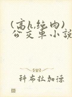 (高h,纯肉)公交车小说