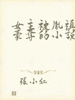 女主被胤禛强取豪夺的小说