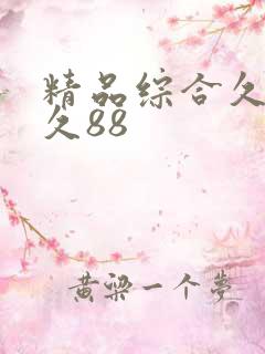 精品综合久久久久88