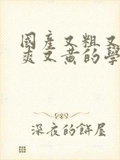 国产又粗又猛又爽又黄的学生视频