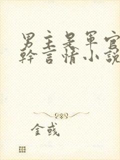 男主是军官的高干言情小说