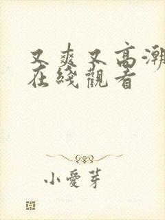 又爽又高潮视频在线观看