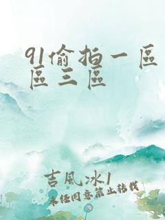 91偷拍一区二区三区