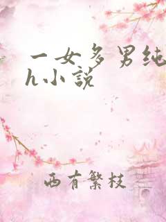 一女多男纯肉高h小说